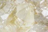 Quartz Crystal Cluster - Brazil #81011-3